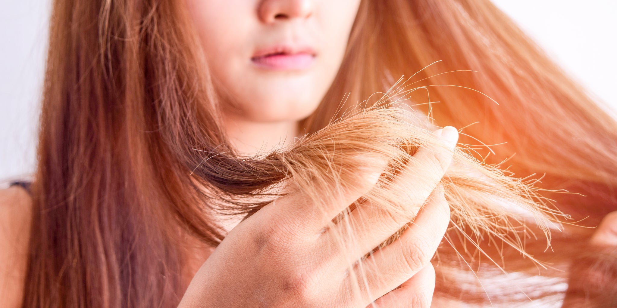 best shampoo and conditioner for damaged dry hair